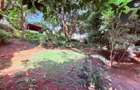 1 ac Land in Spring Valley - 10