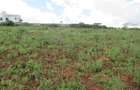 4.5 ac Land at Kibiko - 8