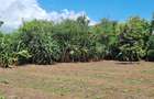 0.202 ha Land at Mtwapa - 3