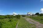 Land in Vipingo - 14
