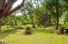 Land at Shanzu Serena - 13