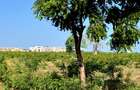 5 ac Land at Utalii -Campus - Vipingo - 13
