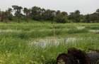 32 ac Land in Diani - 1