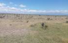 0.125 ac Land at N/A - 3