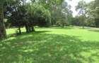 Residential Land at Karen - 6