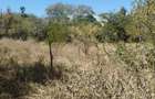 1.19 ac Residential Land at Mukoma - 2
