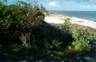 8 ac Commercial Land at Jacaranda - 4