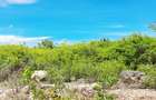 Land at Watamu - 7