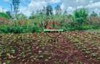 0.125 ac Land at Off Ruaka Banana Road - 7