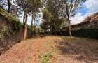 Land in Kiambu Road - 4