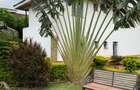 Serviced 1 Bed Apartment with Backup Generator in Karen - 13