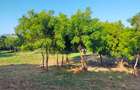 Land in Mtwapa - 4