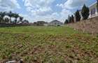 Residential Land at Runda Road - 19