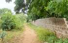 Land at Kilifi Town - 12