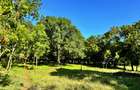 Land in Vipingo - 10