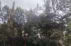 0.5 ac Land at Ololua - 2