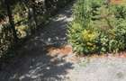 3 Bed Townhouse with En Suite at Karen Hills - 17