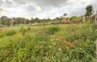 Residential Land at Loresho Ridge Rd - 4