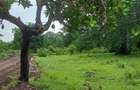Land in Vipingo - 1
