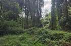Residential Land in Kitisuru - 1