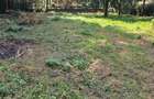 Land at Runda Gardens - 1