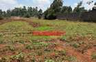 Land at Gikambura - 7