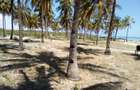 5 ac Land at Kikambala Beach - 7
