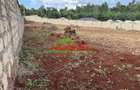 0.46 ha Residential Land at Ondiri - 6