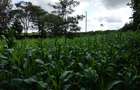 Land at Kirawa Road - 5