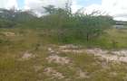 0.125 ac Land at Kyumvi Junction - 8