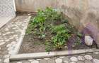 4 Bed Townhouse with En Suite at Merisho Road - 20