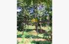 Land in Thigiri - 3