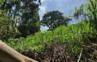 Commercial Land in Kitisuru - 6