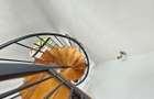 4 Bed House with En Suite in Nyari - 17