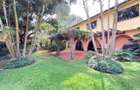 Commercial Property with Parking in Lavington - 1
