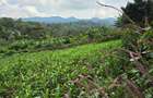 Land at Matasia - 4