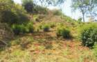 6.3 ac Land in Nyeri - 3