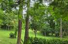 4 Bed Villa with En Suite at Kikambala - 7