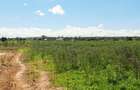 Land at Vipingo - 8