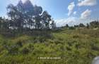 5 ac Land in Garden Estate - 4