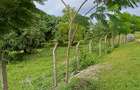 Land at Mtwapa - 2