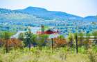 0.05 ha Residential Land at Naromoru - 5