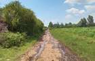 5 ac Land in Naivasha - 4