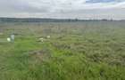 10 ac Land at Karen Plains - 1