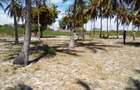 5 ac Land at Kikambala - 7