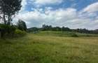 Residential Land in Tigoni - 1