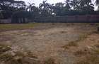 1.4 m² Land at Beach Road - 4