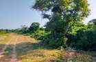 20 ac Land at Kuruwitu Beach Road - 1