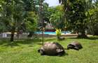 Serviced 3 Bed Apartment with En Suite at La-Marina - 4