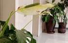 3 Bed Apartment with En Suite in Brookside - 5